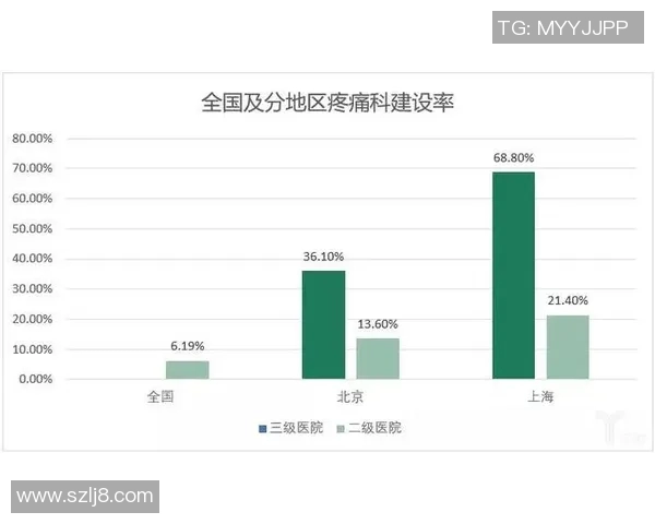 上海羽毛球队耐力表现与欧冠足球数据分析的深入探讨与比较研究