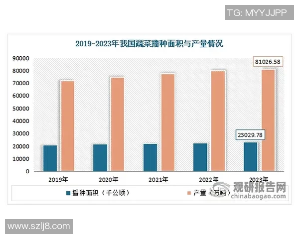 西安乒乓球队战术表现与欧冠足球数据分析的深度探讨