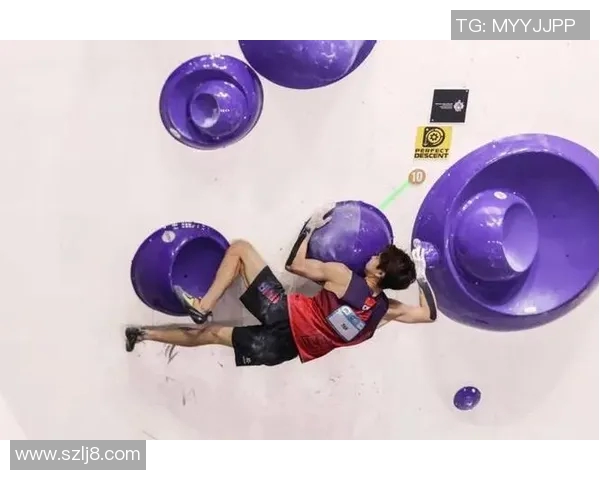 运动独家解析上海攀岩队配合优势与其他体育项目的对比分析